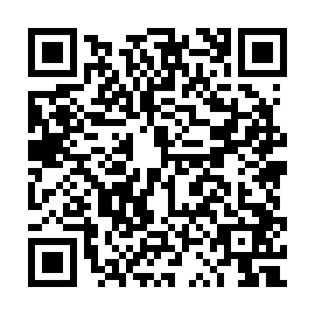 QR code for DSM2428