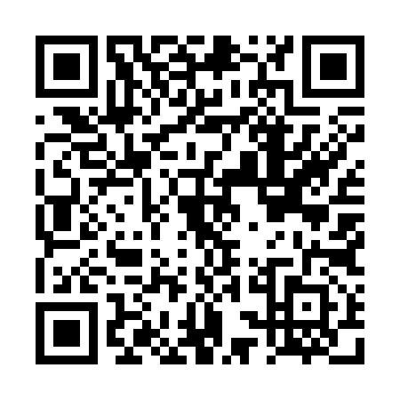 QR code for DSM3921