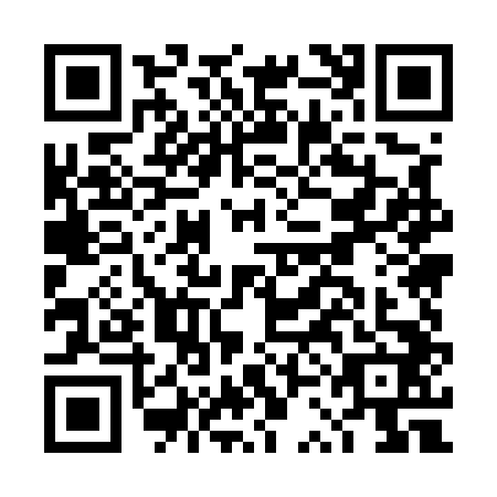 QR code for DSM5420
