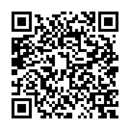 QR code for DSM6738
