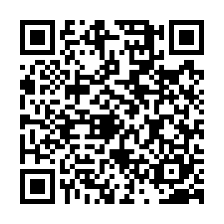 QR code for DSM7655