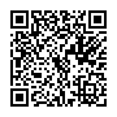 QR code for DSN1307