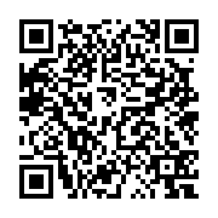 QR code for DSO0336