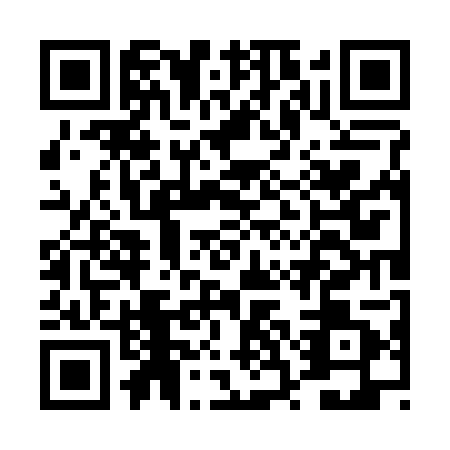 QR code for DSO2010