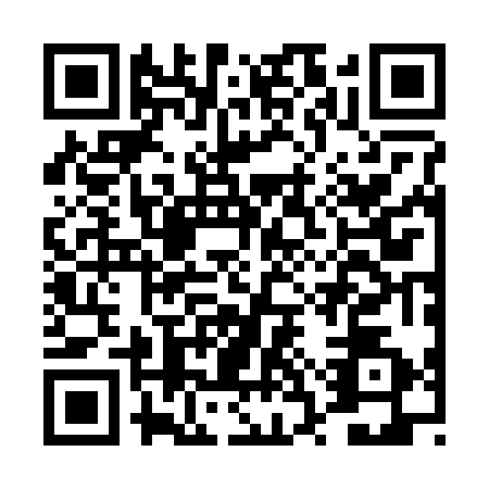 QR code for DSR2729