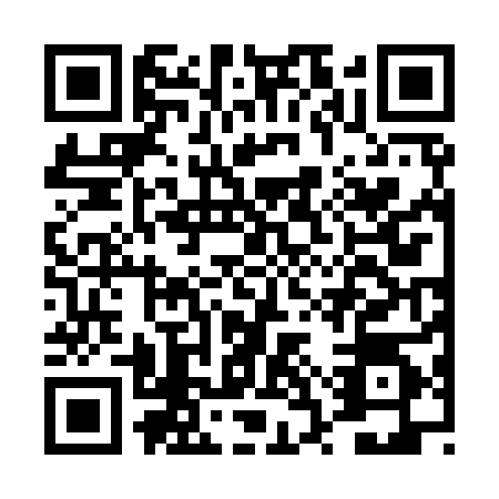QR code for DSR9841