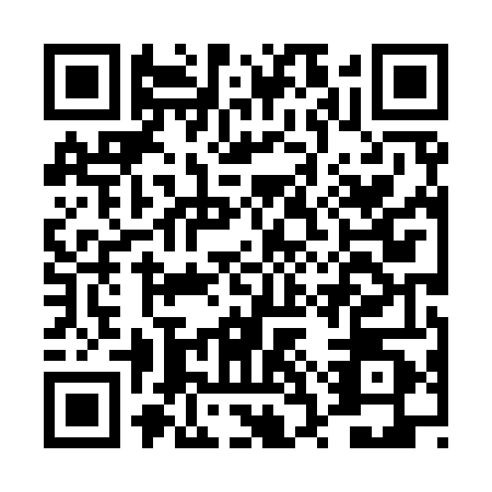 QR code for DSX9409