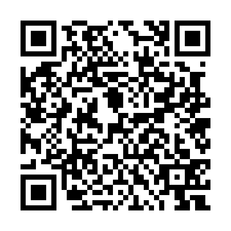 QR code for DTG0334