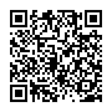 QR code for DTT2995