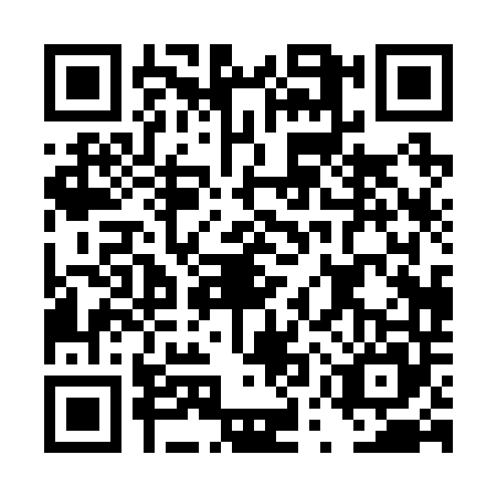QR code for DUP2453