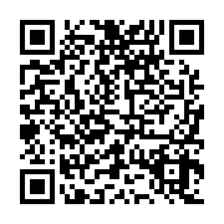 QR code for DUT1384
