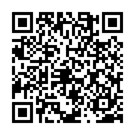 QR code for DUZ1379