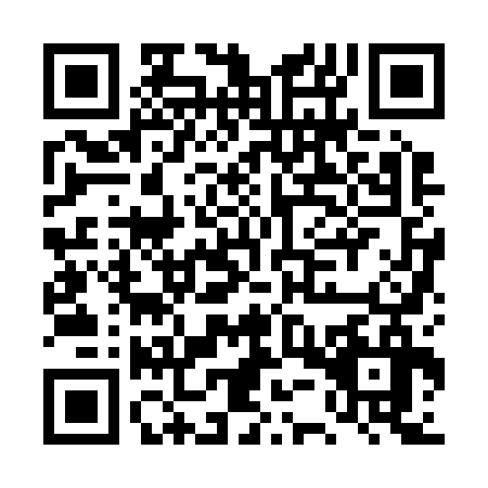 QR code for DUZ2369