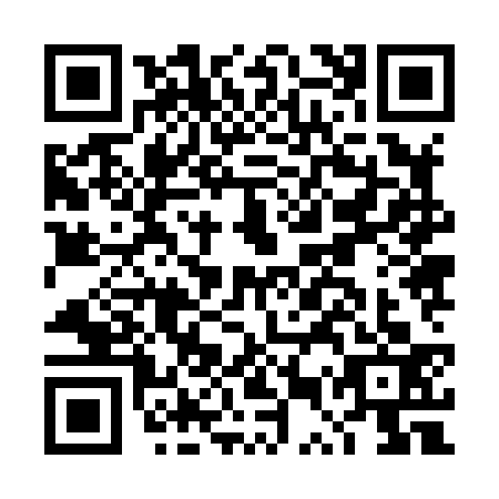 QR code for DUZ8333