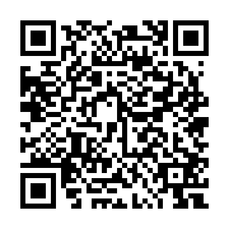 QR code for DVE2021