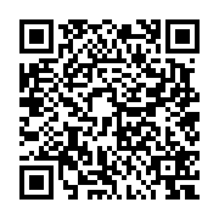 QR code for DVG4295