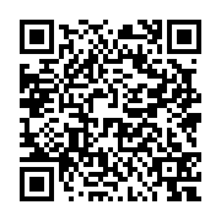 QR code for DVM0336