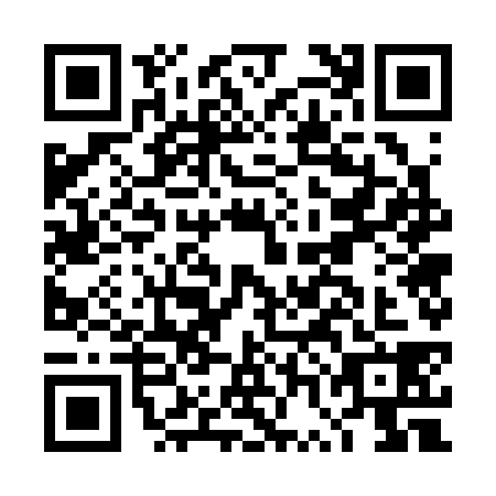 QR code for DWG3382