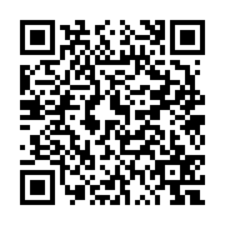 QR code for DWS6370