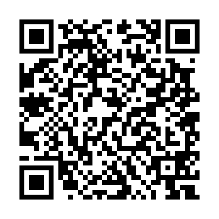 QR code for DXB0987