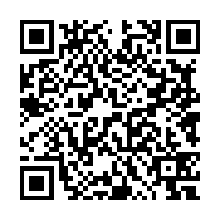 QR code for DXD8393