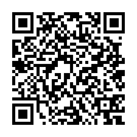 QR code for DXG0306