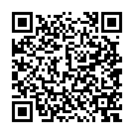 QR code for DYD0546