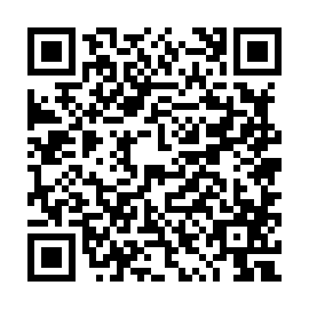QR code for DYE8873