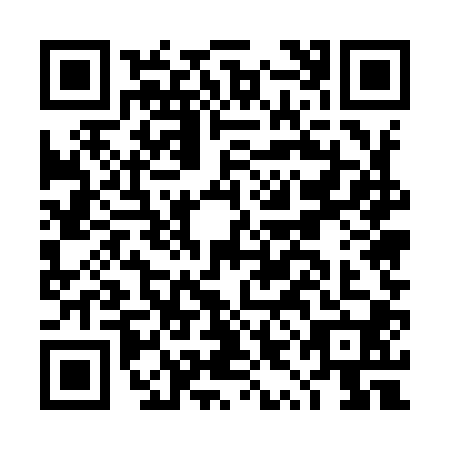 QR code for DYE9002