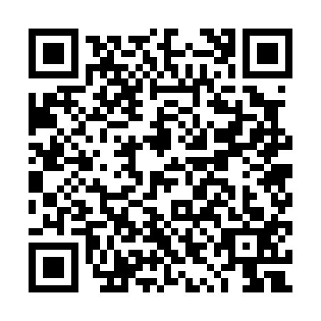 QR code for DYG0133
