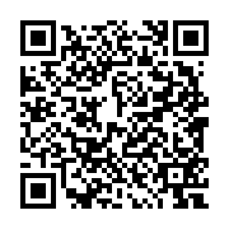 QR code for DYL6533