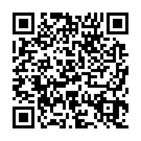 QR code for DYP3238