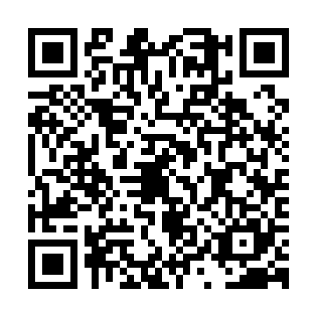 QR code for DYS1252