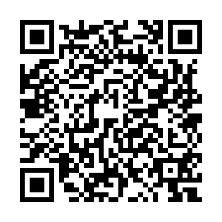 QR code for DYS9507