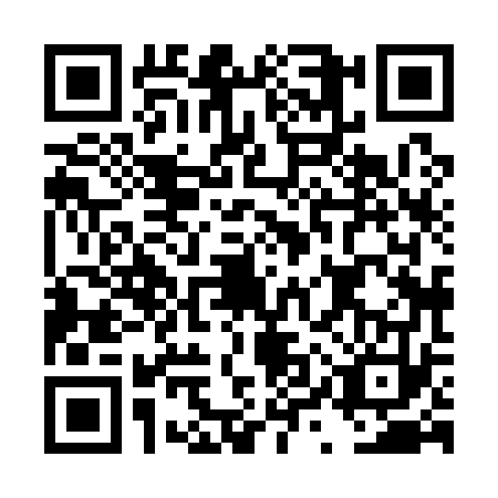 QR code for DYX1738