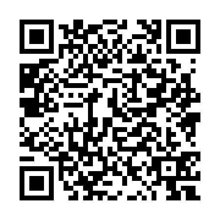 QR code for DYX3311