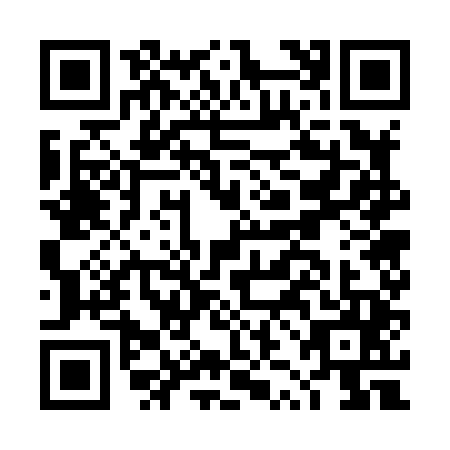 QR code for DZG8453