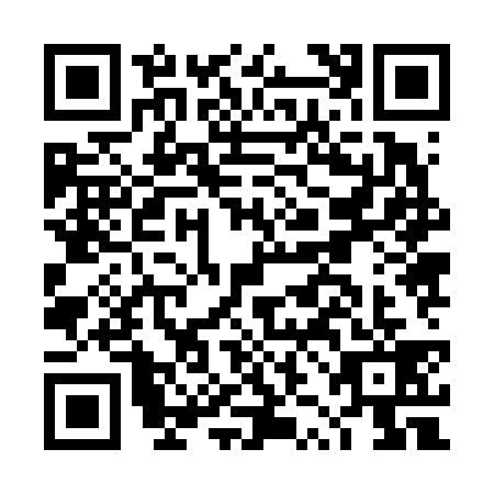 QR code for DZJ6397