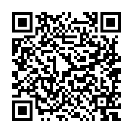 QR code for DZJ9966