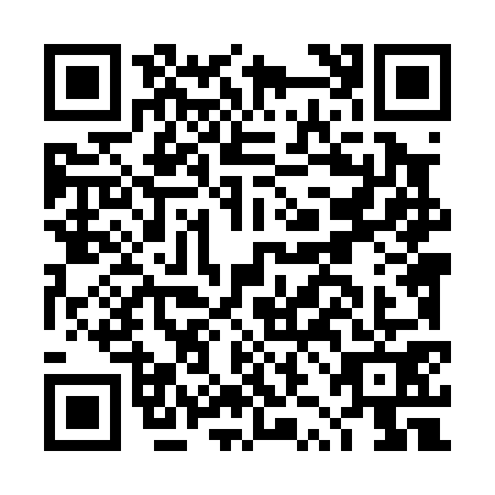 QR code for DZL0717