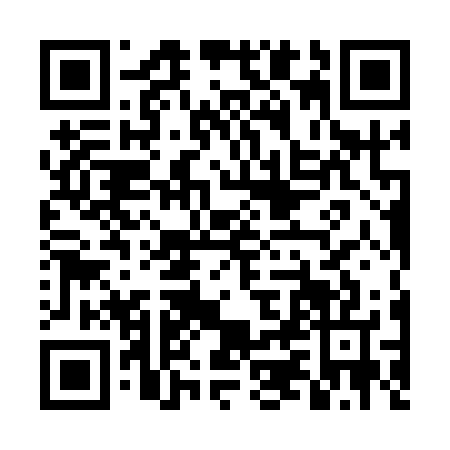 QR code for DZL1271