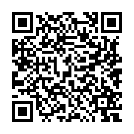 QR code for DZN8275