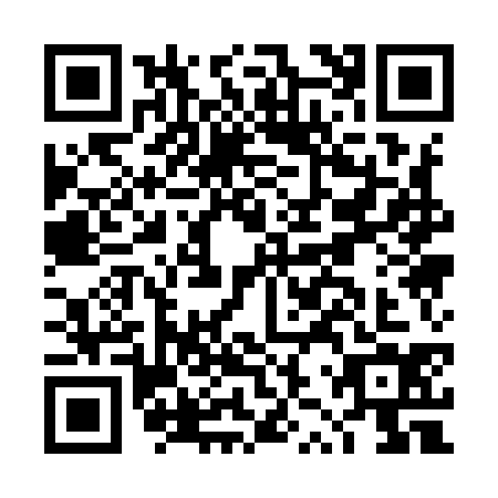 QR code for DZQ9341