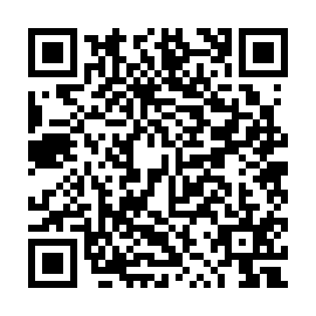 QR code for DZR3153