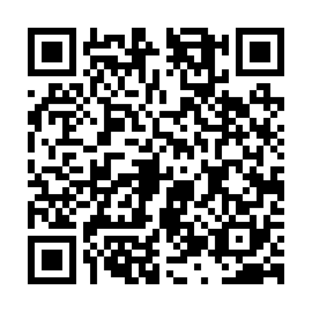 QR code for DZT2704