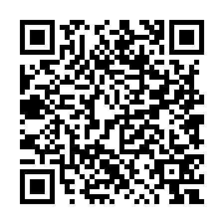 QR code for DZT9739