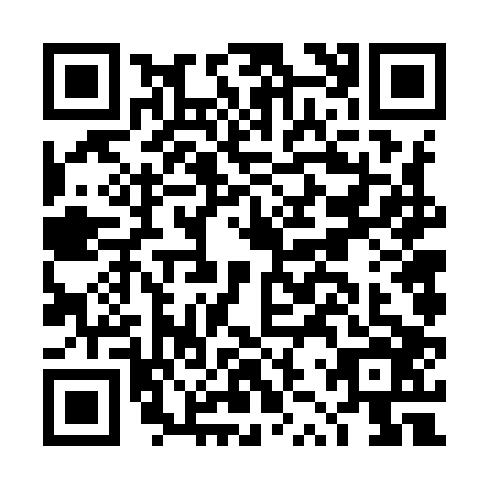 QR code for DZV9061