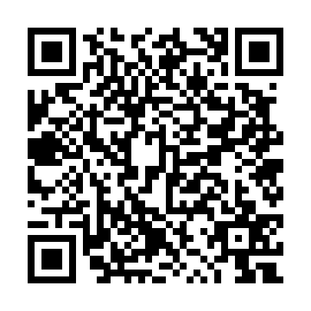 QR code for DZW4379