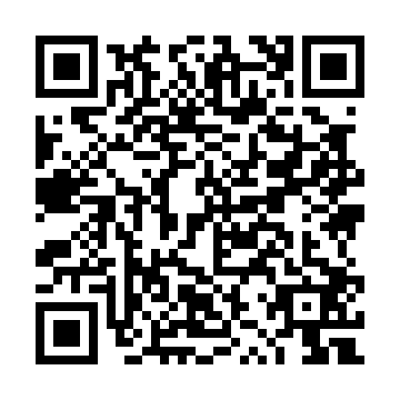 QR code for DZY0028