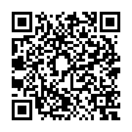 QR code for DZY6596